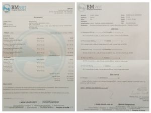 Animais - AJUDAR A FRIDA