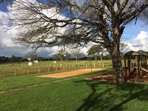 Viagem - Niver Marcus 04/09