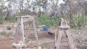 Vaquinha - Terminar de construir a casa dos meus pais