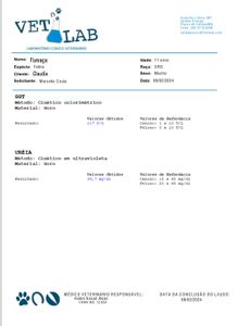 Quimioterapia do gatinho guerreiro