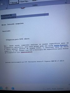 Vaquinha Online - Quimioterapia do gatinho guerreiro