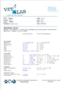 Claudia - Quimioterapia do gatinho guerreiro