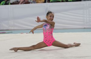 Realizar um Sonho de uma Atleta Federada, Mas sem Patrocinio imagem 13