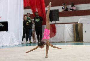 Realizar um Sonho de uma Atleta Federada, Mas sem Patrocinio imagem 6
