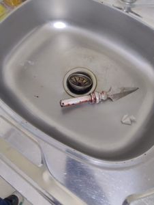 Vaquinha Online - Thor precisa da tua ajuda.