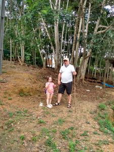 Projeto de Mini Fazenda de Hidroponia Urbana para Orgânicos  imagem 6