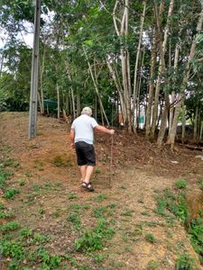 Manaus/AM - Projeto de Mini Fazenda de Hidroponia Urbana para Orgânicos 