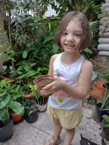 Projeto de Mini Fazenda de Hidroponia Urbana para Orgânicos  imagem 7