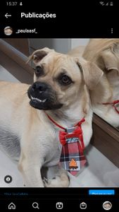 Vaquinha Online - Viagem Bingo para Santa Catarina 