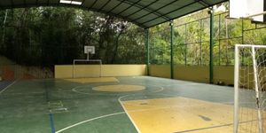 Campanha do Alimento 2026 - Remanso Fraterno imagem 6