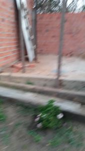 Saúde e Emergências - Minha casa, minha filha 