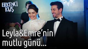 Peruíbe/SP - Livro com as histórias de fãs com o EK 🐦