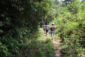Financiamento Coletivo - Promovendo o Turismo de Base Comunitária na Amazônia