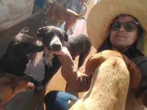 Vaquinha Online - AJUDA PARA CUIDAR DE ANIMAIS COM NECESSIDADE 