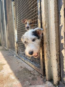 Campanha do bem - Abrigo dos Anjos imagem 10