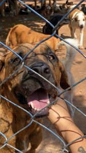 Campanha do bem - Abrigo dos Anjos