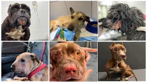 Somos muitos e precisamos da sua ajuda! 