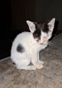 ELES PRECISAM DE TODOS NÓS! NÃO OS IGNORE POR FAVOR! imagem 7