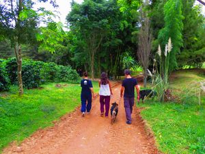 Crowdfunding - Iluminando o Templo Taikanji