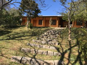 Iluminando o Templo Taikanji imagem 6