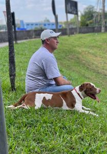 Vamos juntos construir o espaço PitsAles!!! Vem!!! imagem 7