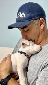 Vamos juntos construir o espaço PitsAles!!! Vem!!! imagem 6