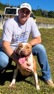 Animais - Vamos juntos construir o espaço PitsAles!!! Vem!!!