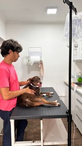 Vaquinha Ressonância Kira - Vaquinha para Ressonância da Kira