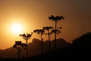Resende/RJ - PRÉ-VENDA COLETIVA DO LIVRO "VISCONDE DE MAUÁ, UMA LEMBRANÇA FOTOGRÁFICA".