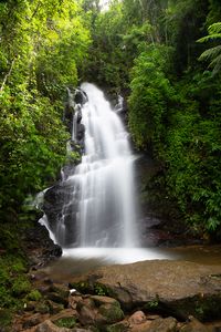 Crowdfunding - PRÉ-VENDA COLETIVA DO LIVRO "VISCONDE DE MAUÁ, UMA LEMBRANÇA FOTOGRÁFICA".