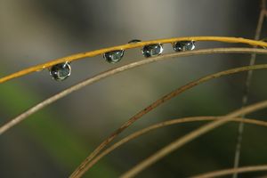 PRÉ-VENDA COLETIVA DO LIVRO "VISCONDE DE MAUÁ, UMA LEMBRANÇA FOTOGRÁFICA". imagem 9