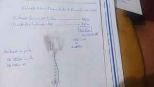 Saúde e Emergências - Ajude Gabi a sorrir 