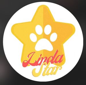 Vaquinha Online - Ajuda emergencial para resgate de cadela e 13 filhotes