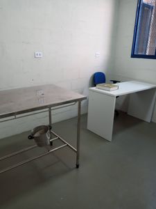 JULICÃO/2024 - arrecadação para prêmios do bingo da SOCPAM  imagem 10