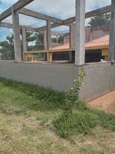 JULICÃO/2024 - arrecadação para prêmios do bingo da SOCPAM  imagem 7