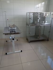 JULICÃO/2024 - arrecadação para prêmios do bingo da SOCPAM  imagem 9