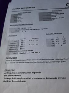 Cirurgia para salvar os olhos e a vida de Branca imagem 7