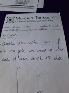 Gravataí/RS - Cirurgia para salvar os olhos e a vida de Branca