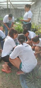 Vaquinha Online - Mundo Verde 