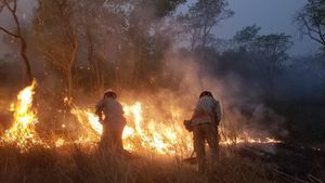 Meio ambiente - Novo veículo aéreo de combate a incendios florestais