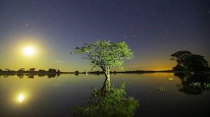 Novo veículo aéreo de combate a incendios florestais imagem 7