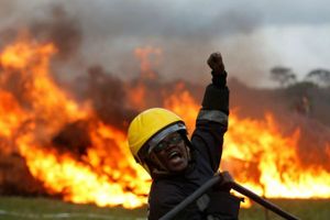 Novo veículo aéreo de combate a incendios florestais imagem 9