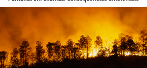 Novo veículo aéreo de combate a incendios florestais imagem 8