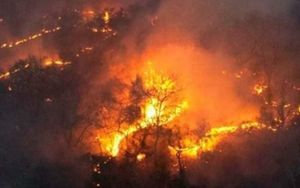 null - Novo veículo aéreo de combate a incendios florestais