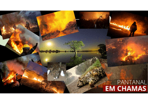 Novo veículo aéreo de combate a incendios florestais imagem 6