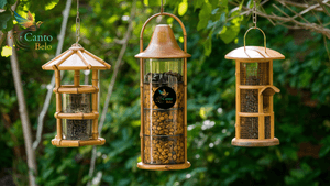 Florestal/MG - Projeto: CANTO BELO