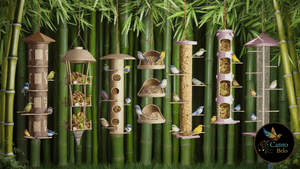 Empreendedorismo e Pequenos Negócios - Projeto: CANTO BELO