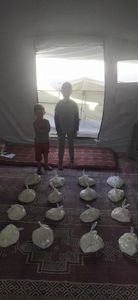 Alimente Gaza imagem 6