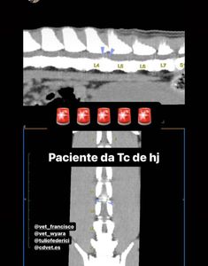 Caramelo - Tratamento do Caramelo