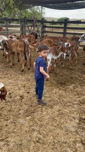 Governador Valadares/MG - Salve o Henrique